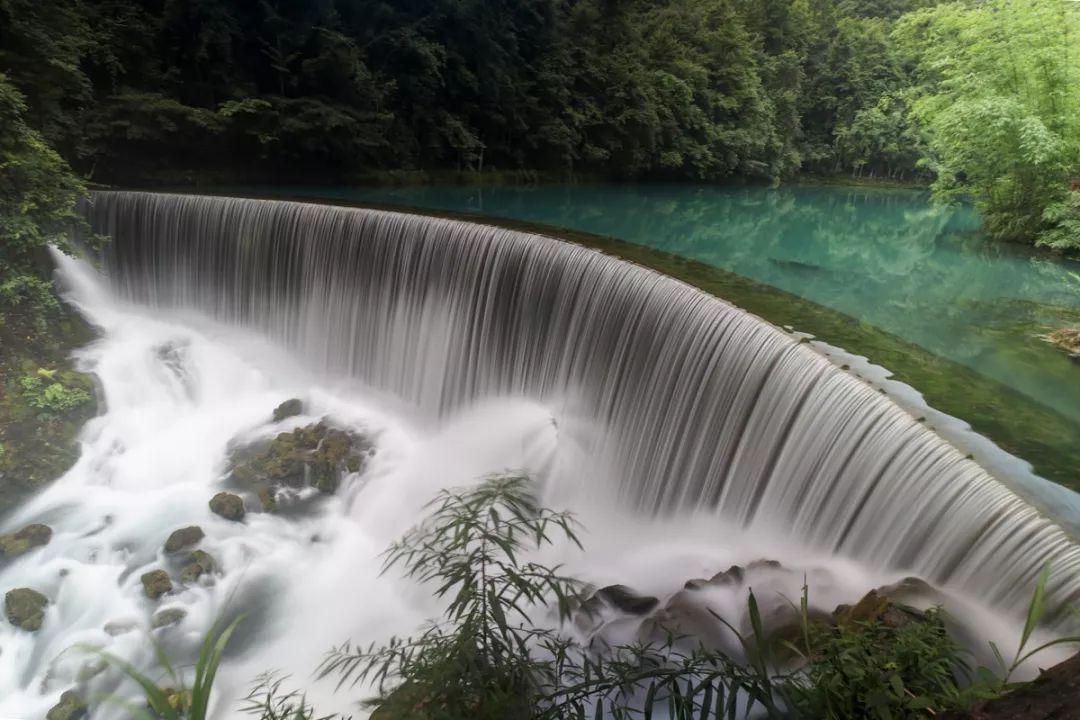 大雨林逃生